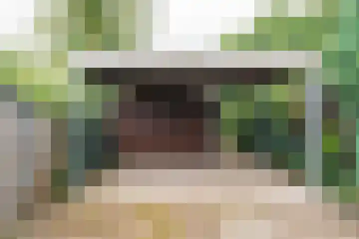 Wilhelminastraat 27 Dinxperlo thumbnail 50