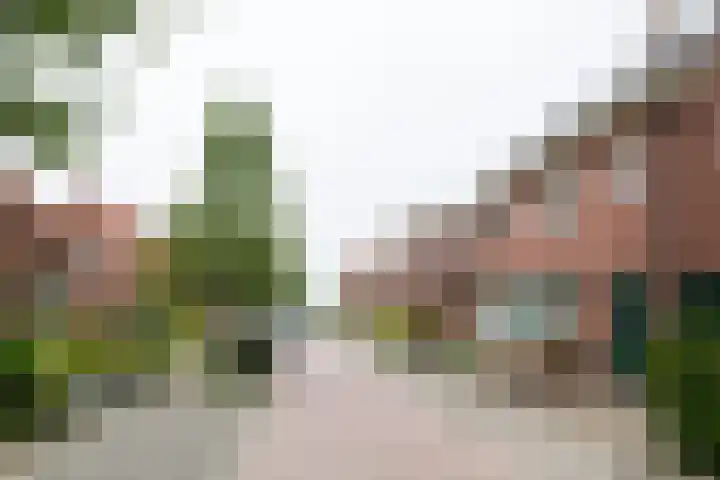 Wilhelminastraat 27 Dinxperlo thumbnail 52