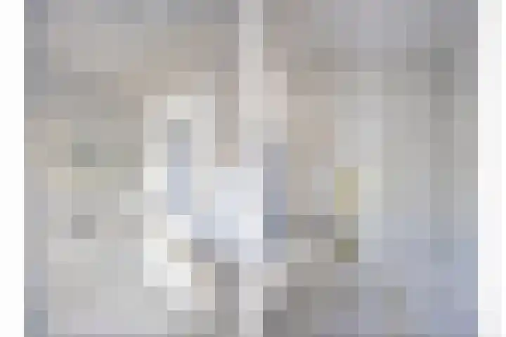 Wilhelminastraat 27 Drunen thumbnail 12