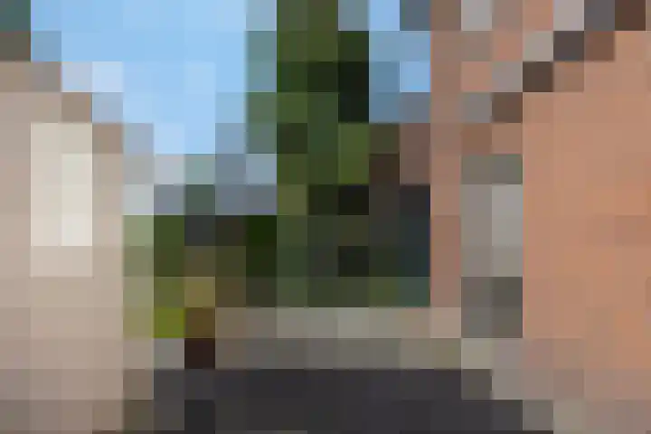 Wilhelminastraat 27 Drunen thumbnail 17