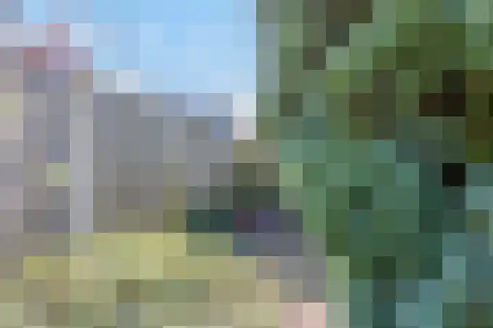 Wilhelminastraat 27 Drunen thumbnail 19