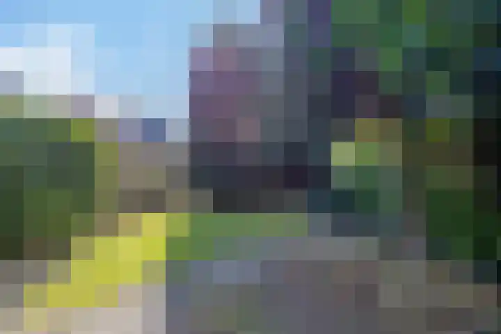 Wilhelminastraat 27 Drunen thumbnail 20