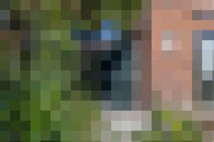 Wilhelminastraat 27 Drunen thumbnail 21