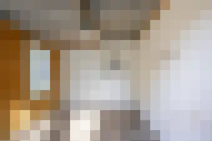 Wilhelminastraat 27 Drunen thumbnail 28