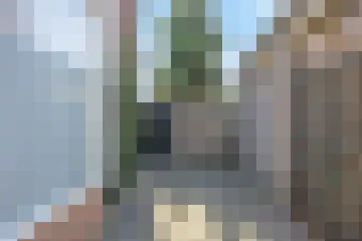Wilhelminastraat 27 Drunen thumbnail 33