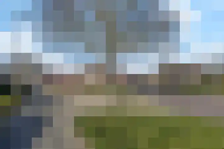 Wilhelminastraat 27 Drunen thumbnail 36