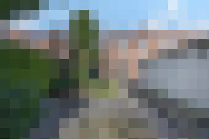 Wilhelminastraat 27 Drunen thumbnail 4