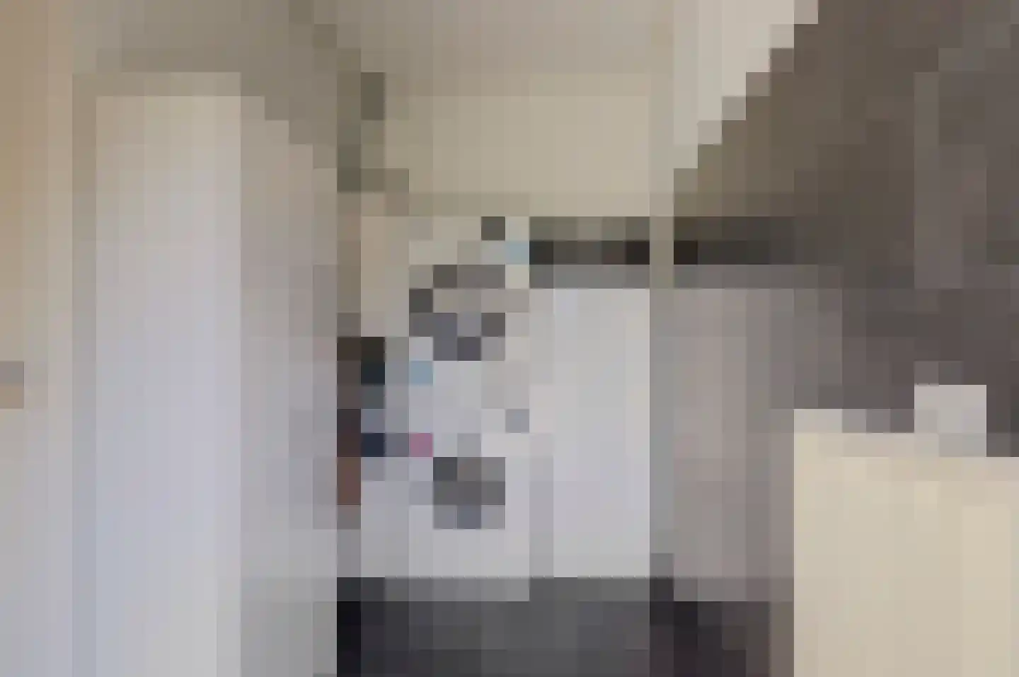 Wilhelminastraat 27 Kortgene thumbnail 19