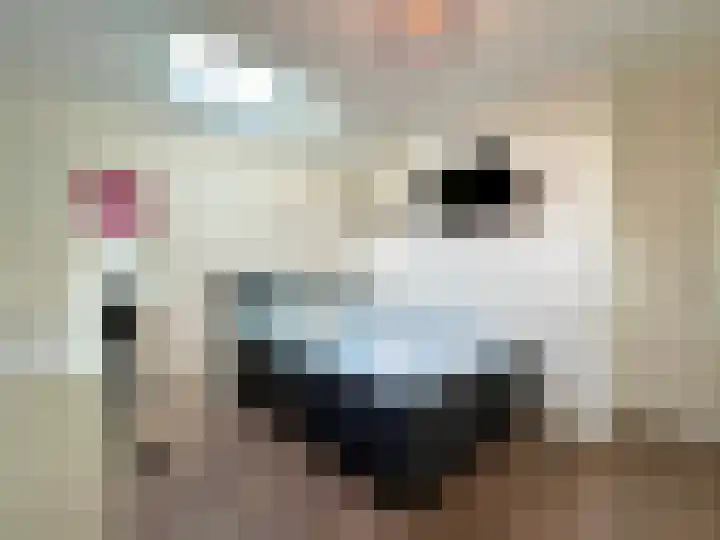 Wilhelminastraat 27 Montfoort thumbnail 34