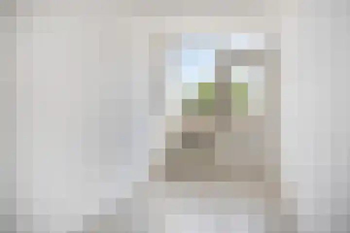 Wilhelminastraat 271 Uden thumbnail 20