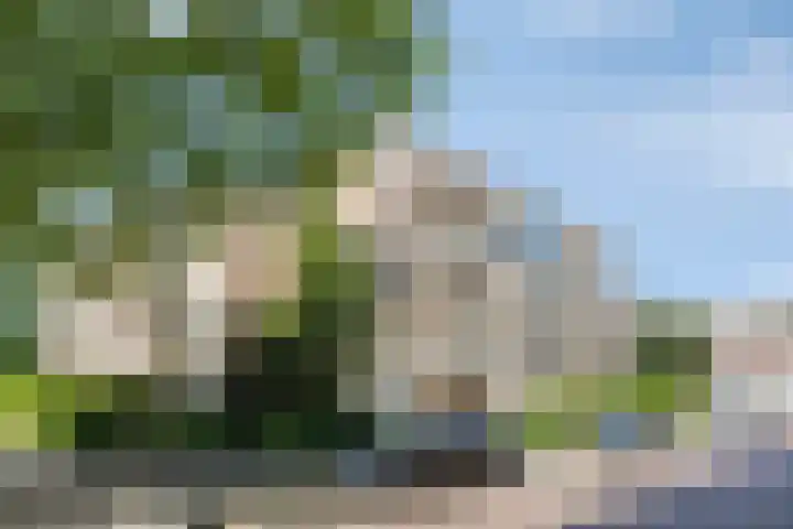 Wilhelminastraat 271 Uden thumbnail 25