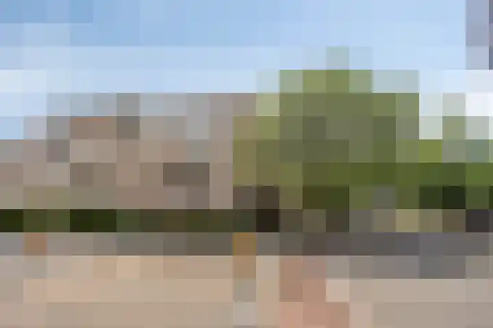 Wilhelminastraat 271 Uden thumbnail 26