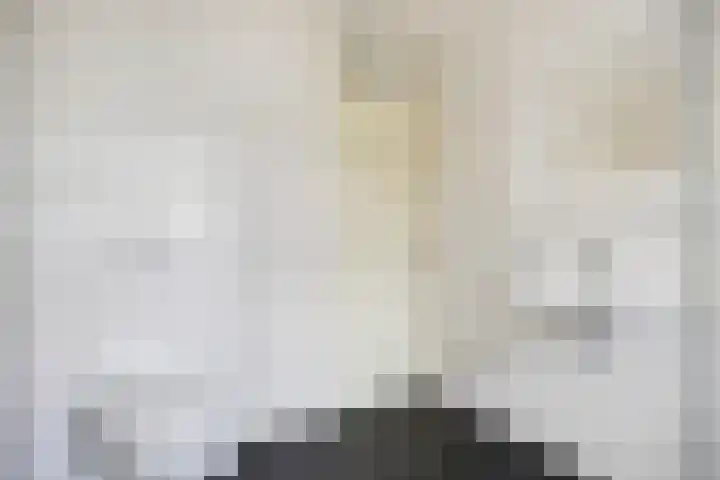 Wilhelminastraat 271 Uden thumbnail 5
