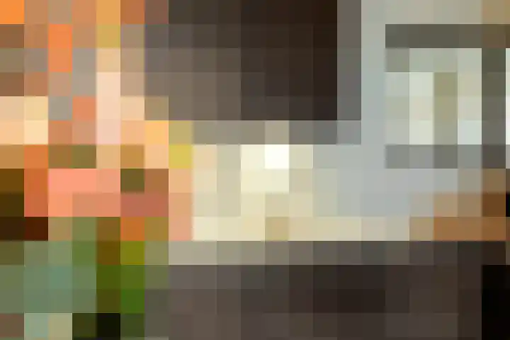 Wilhelminastraat 273 Uden thumbnail 10