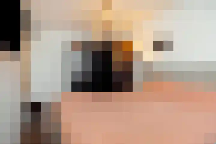 Wilhelminastraat 273 Uden thumbnail 18