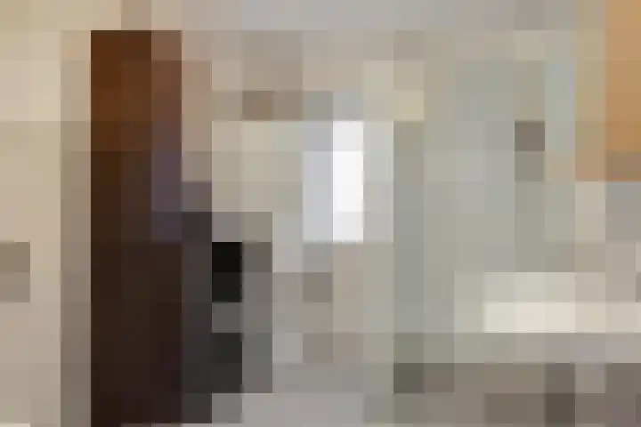 Wilhelminastraat 273 Uden thumbnail 19