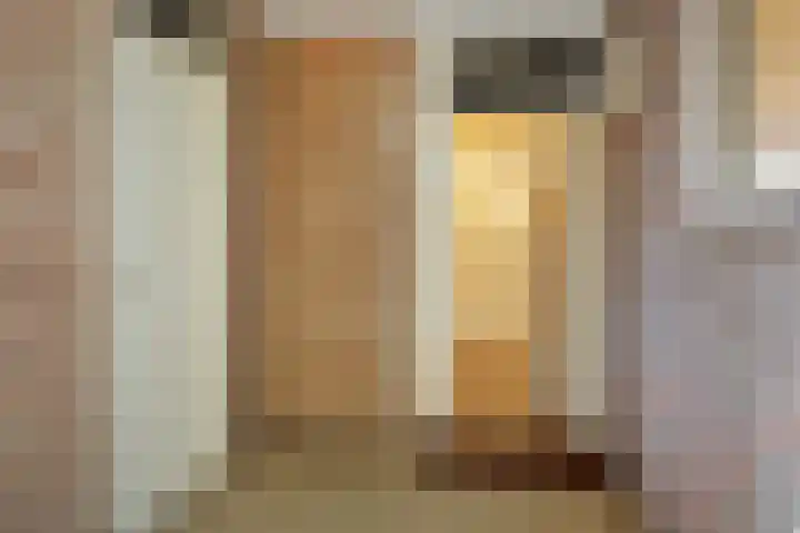 Wilhelminastraat 273 Uden thumbnail 22