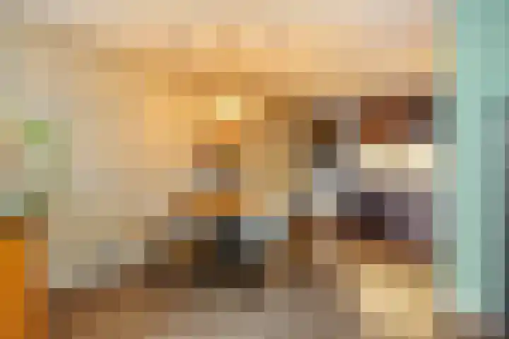 Wilhelminastraat 273 Uden thumbnail 7