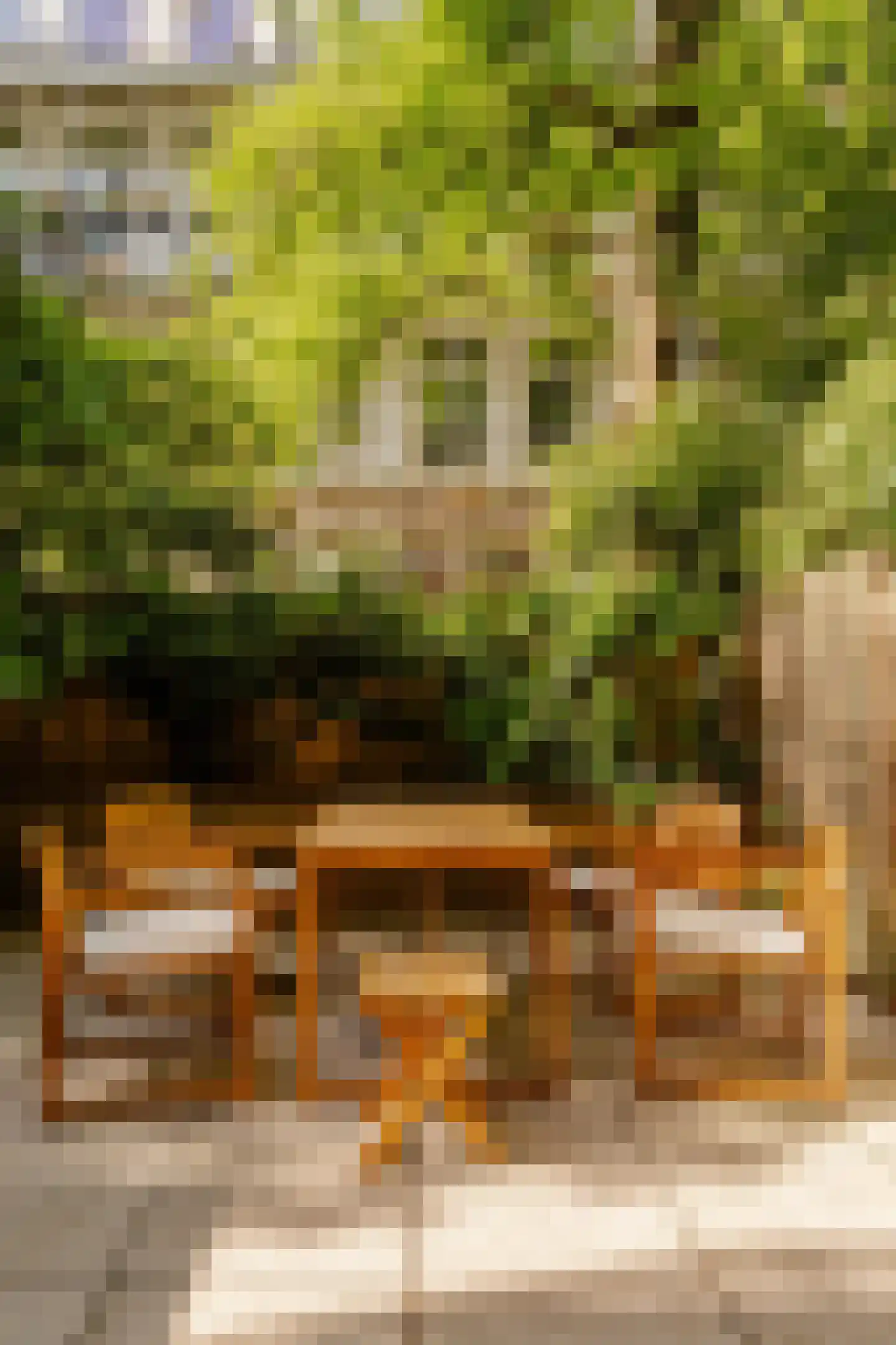 Wilhelminastraat 28 1 Amsterdam thumbnail 12