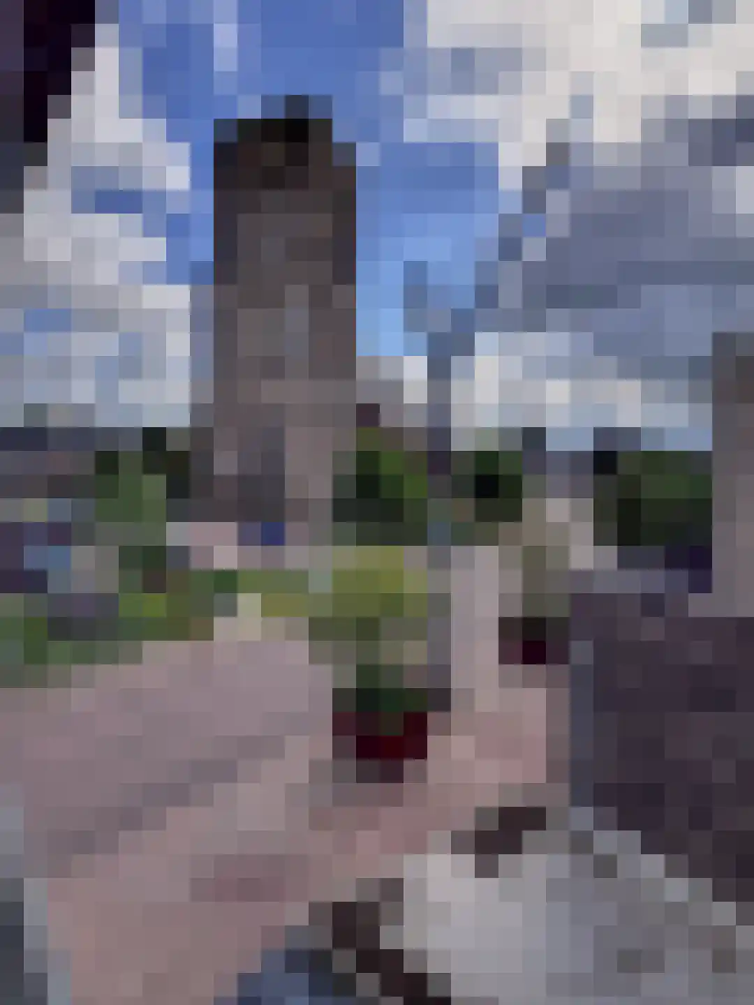 Wilhelminastraat 28 a Didam thumbnail 11