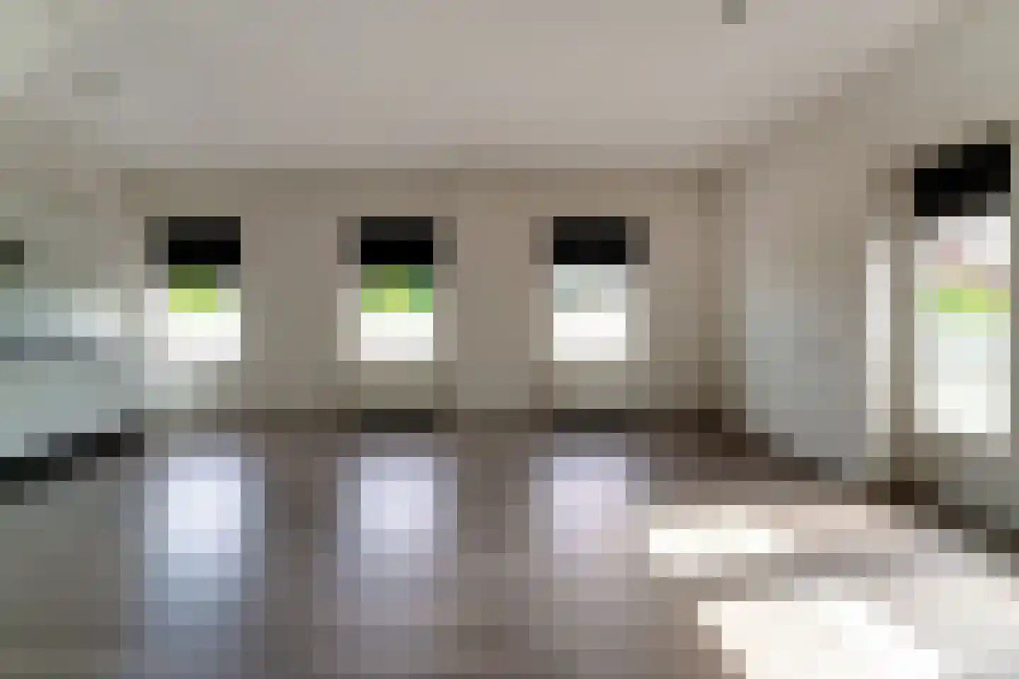 Wilhelminastraat 28 a Didam thumbnail 12