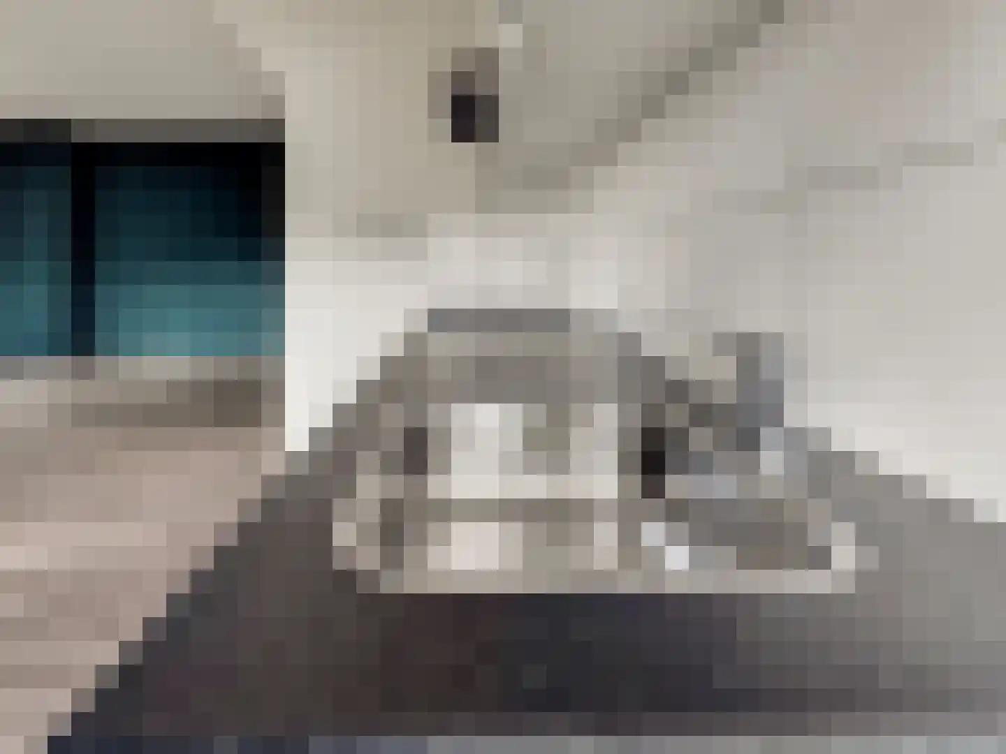 Wilhelminastraat 28 a Didam thumbnail 15
