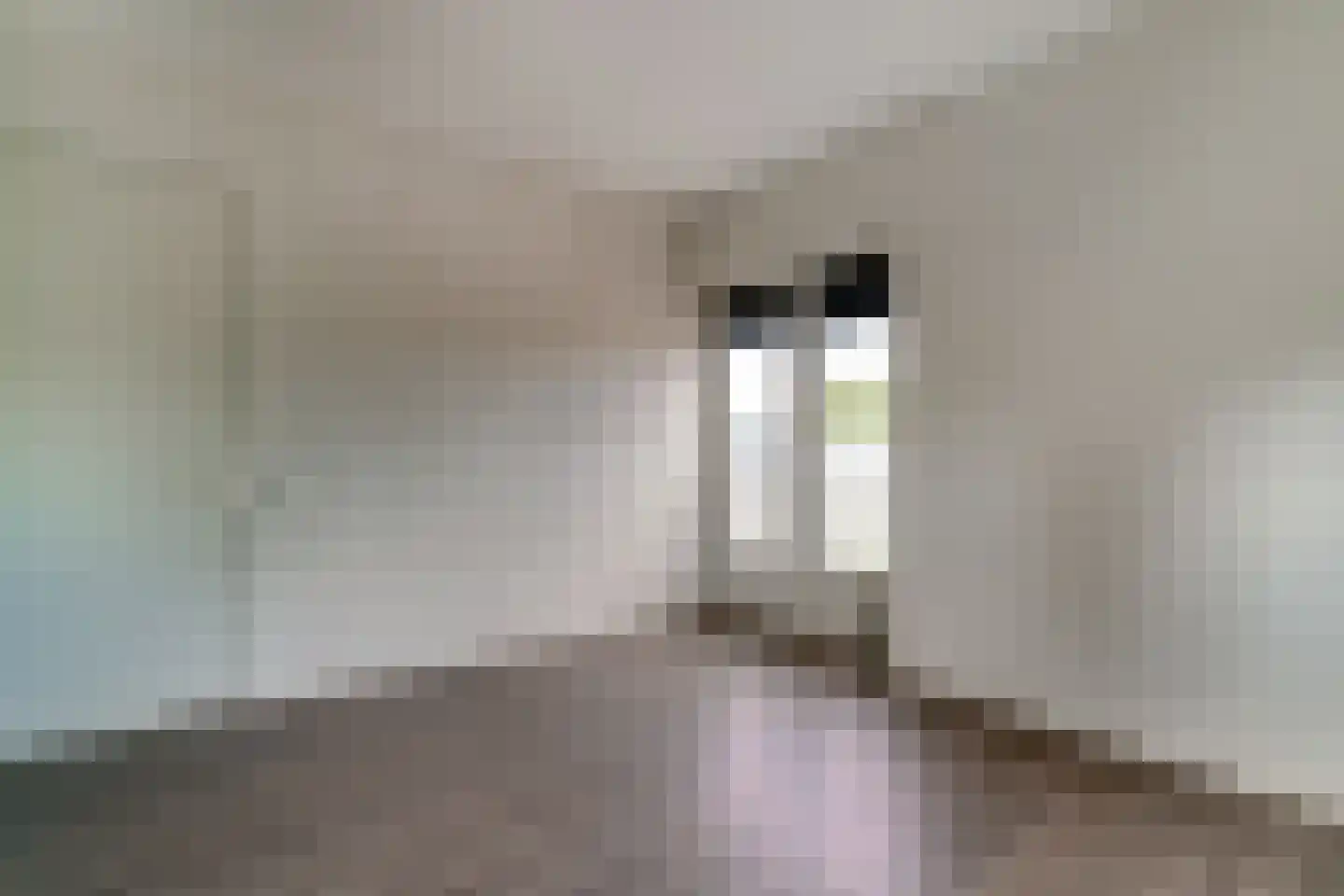 Wilhelminastraat 28 a Didam thumbnail 19