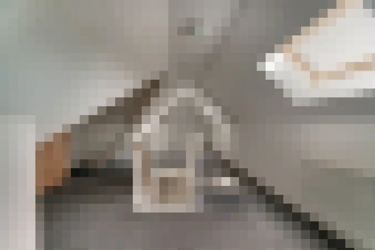 Wilhelminastraat 28 a Didam thumbnail 27