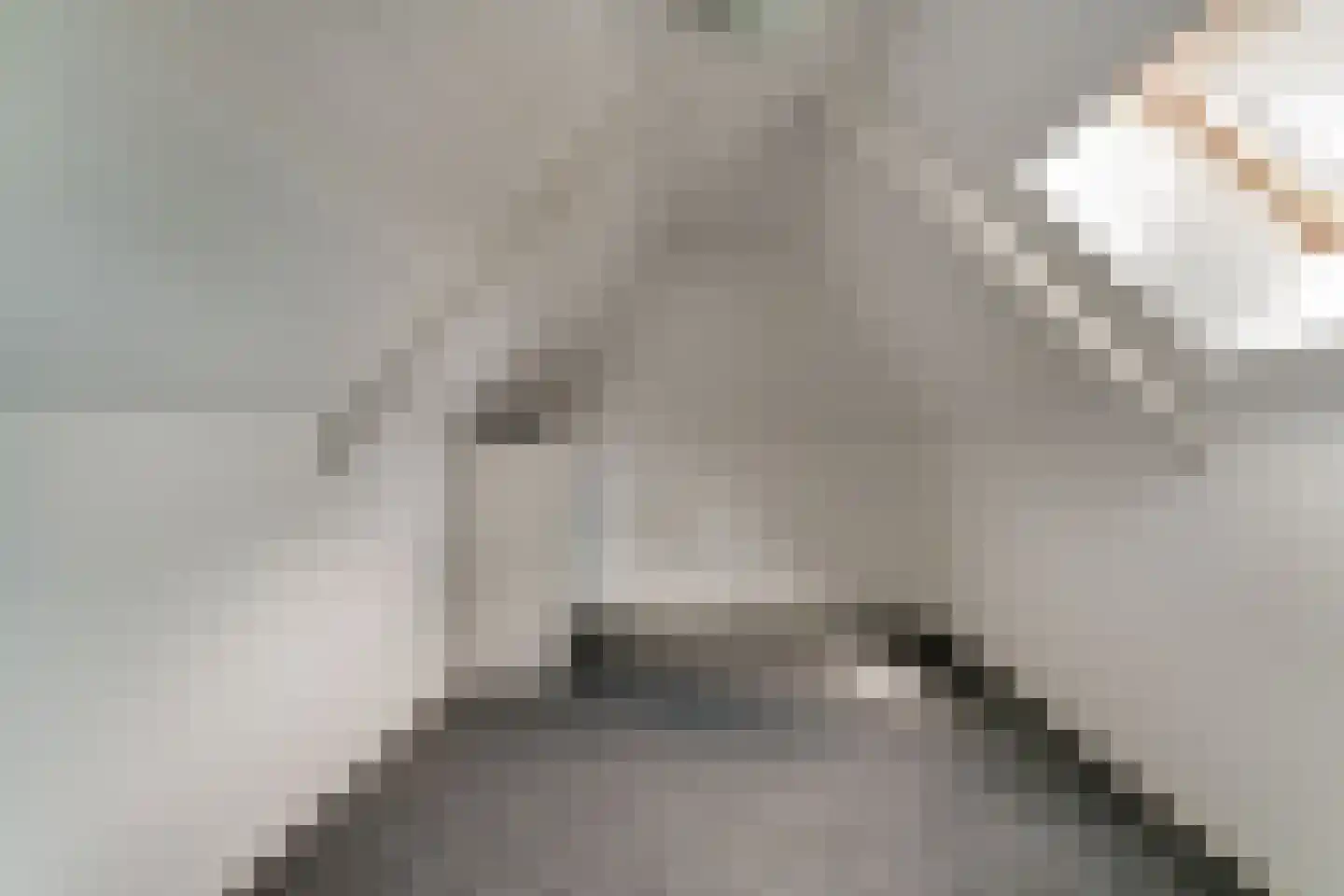 Wilhelminastraat 28 a Didam thumbnail 30