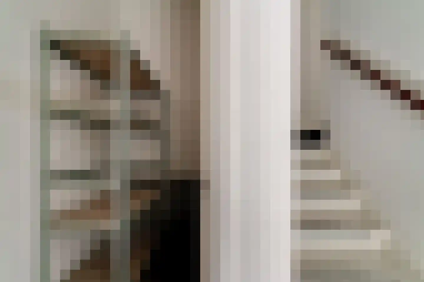 Wilhelminastraat 28 a Didam thumbnail 32