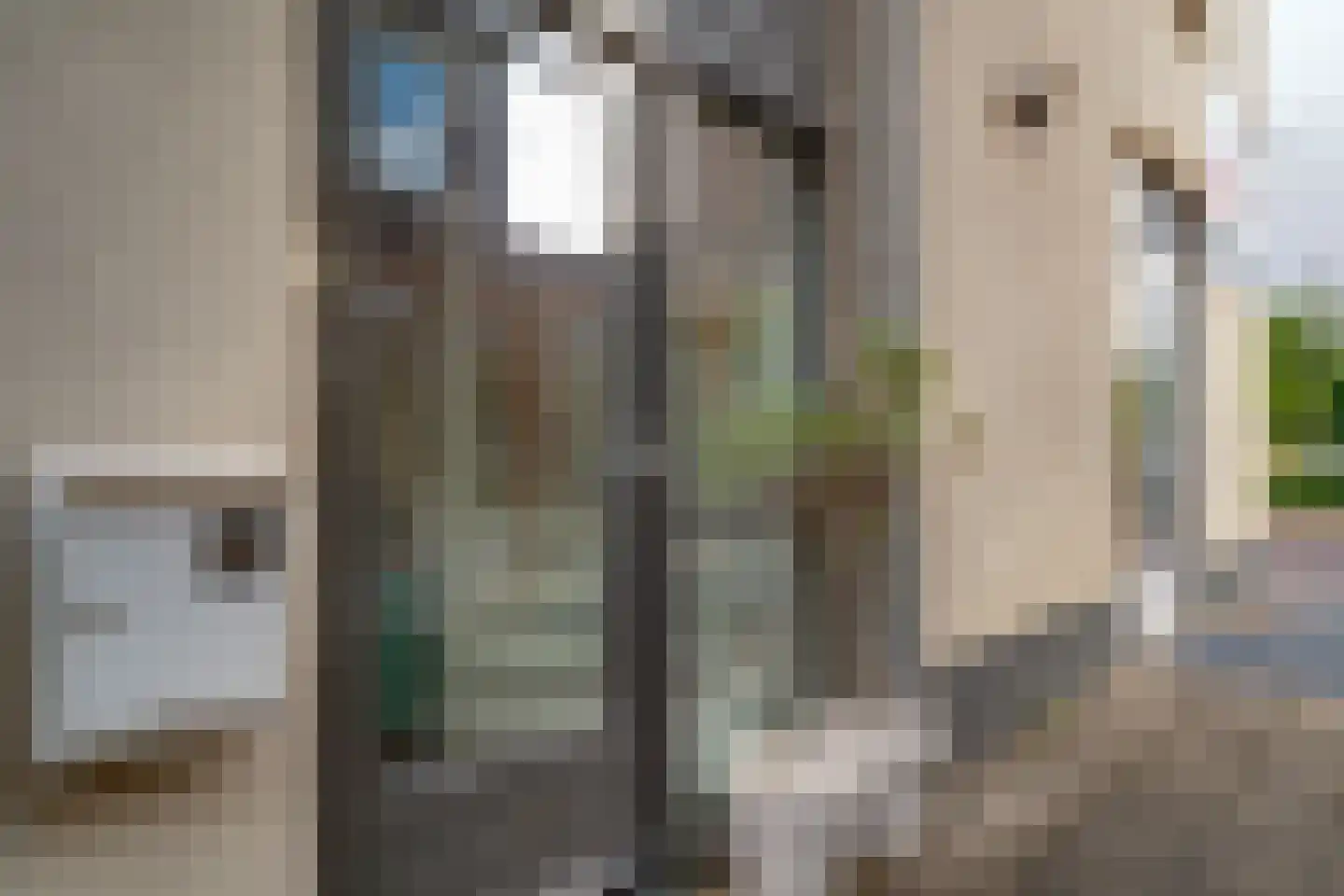 Wilhelminastraat 28 a Didam thumbnail 6