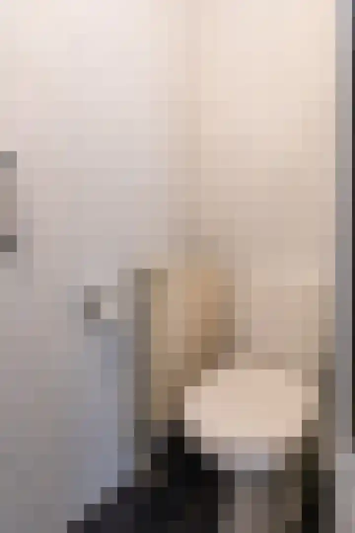 Wilhelminastraat 28 Duiven thumbnail 13