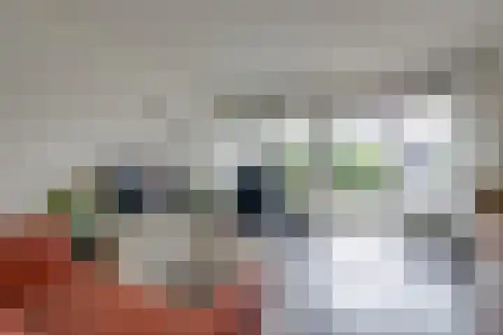 Wilhelminastraat 28 Duiven thumbnail 15