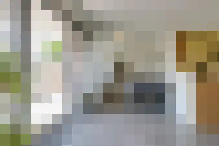 Wilhelminastraat 28 Duiven thumbnail 22