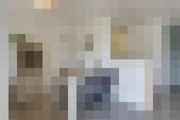 Wilhelminastraat 28 Duiven thumbnail 23
