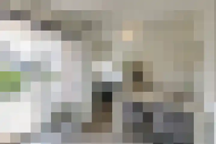 Wilhelminastraat 28 Duiven thumbnail 24