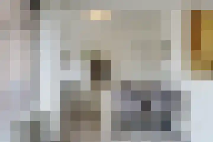 Wilhelminastraat 28 Duiven thumbnail 25