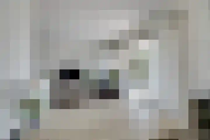 Wilhelminastraat 28 Duiven thumbnail 27