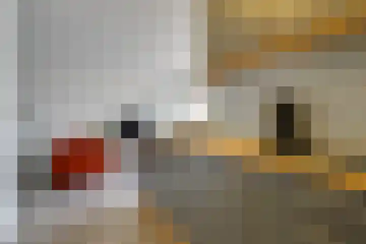 Wilhelminastraat 28 Duiven thumbnail 30