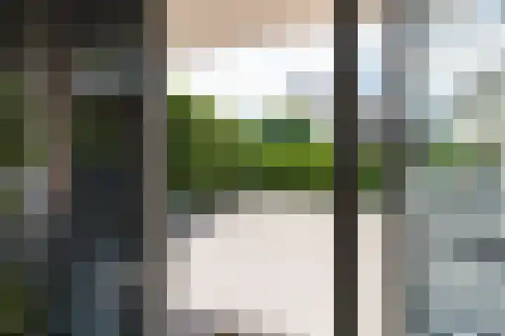 Wilhelminastraat 28 Duiven thumbnail 31