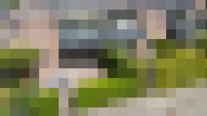 Wilhelminastraat 28 Duiven thumbnail 32