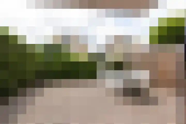 Wilhelminastraat 28 Duiven thumbnail 34