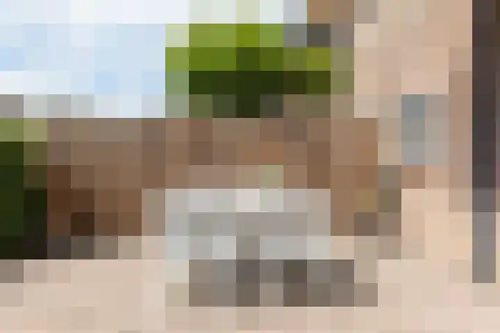 Wilhelminastraat 28 Duiven thumbnail 35