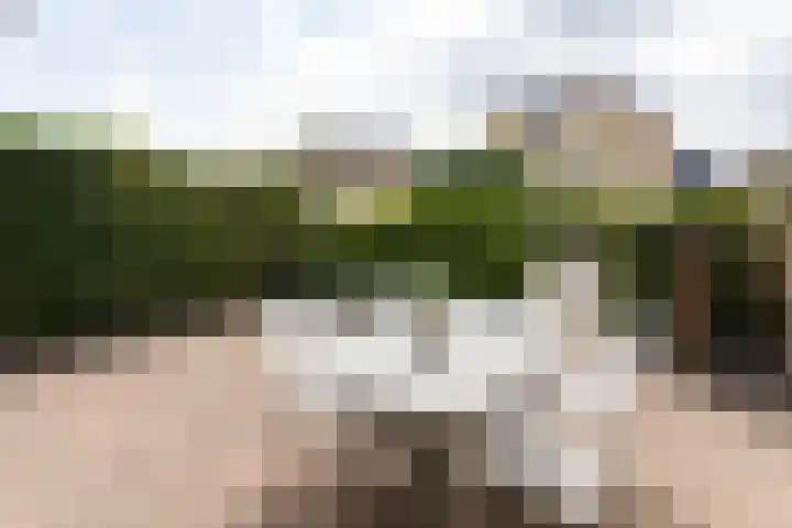 Wilhelminastraat 28 Duiven thumbnail 36