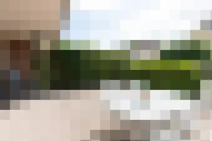 Wilhelminastraat 28 Duiven thumbnail 37