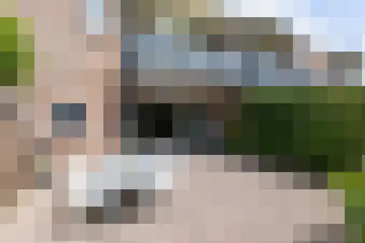 Wilhelminastraat 28 Duiven thumbnail 39