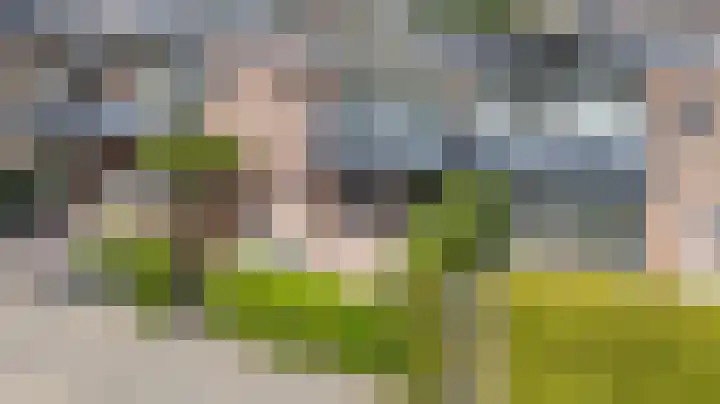 Wilhelminastraat 28 Duiven thumbnail 41