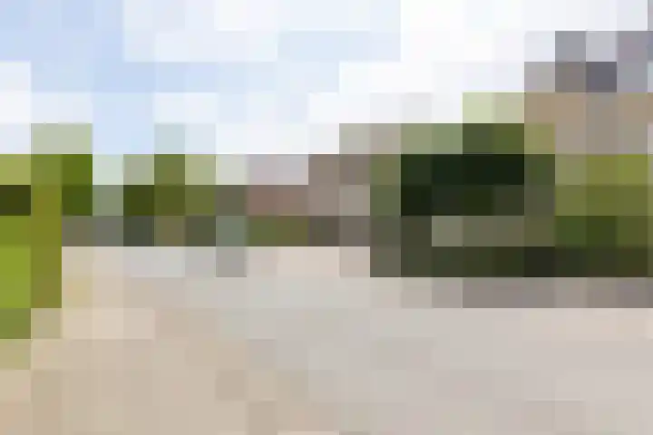 Wilhelminastraat 28 Duiven thumbnail 45