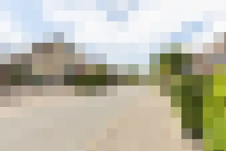 Wilhelminastraat 28 Duiven thumbnail 46