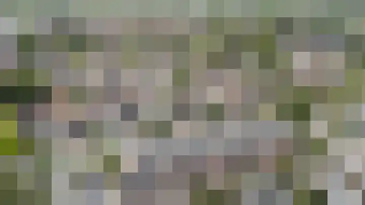 Wilhelminastraat 28 Duiven thumbnail 47